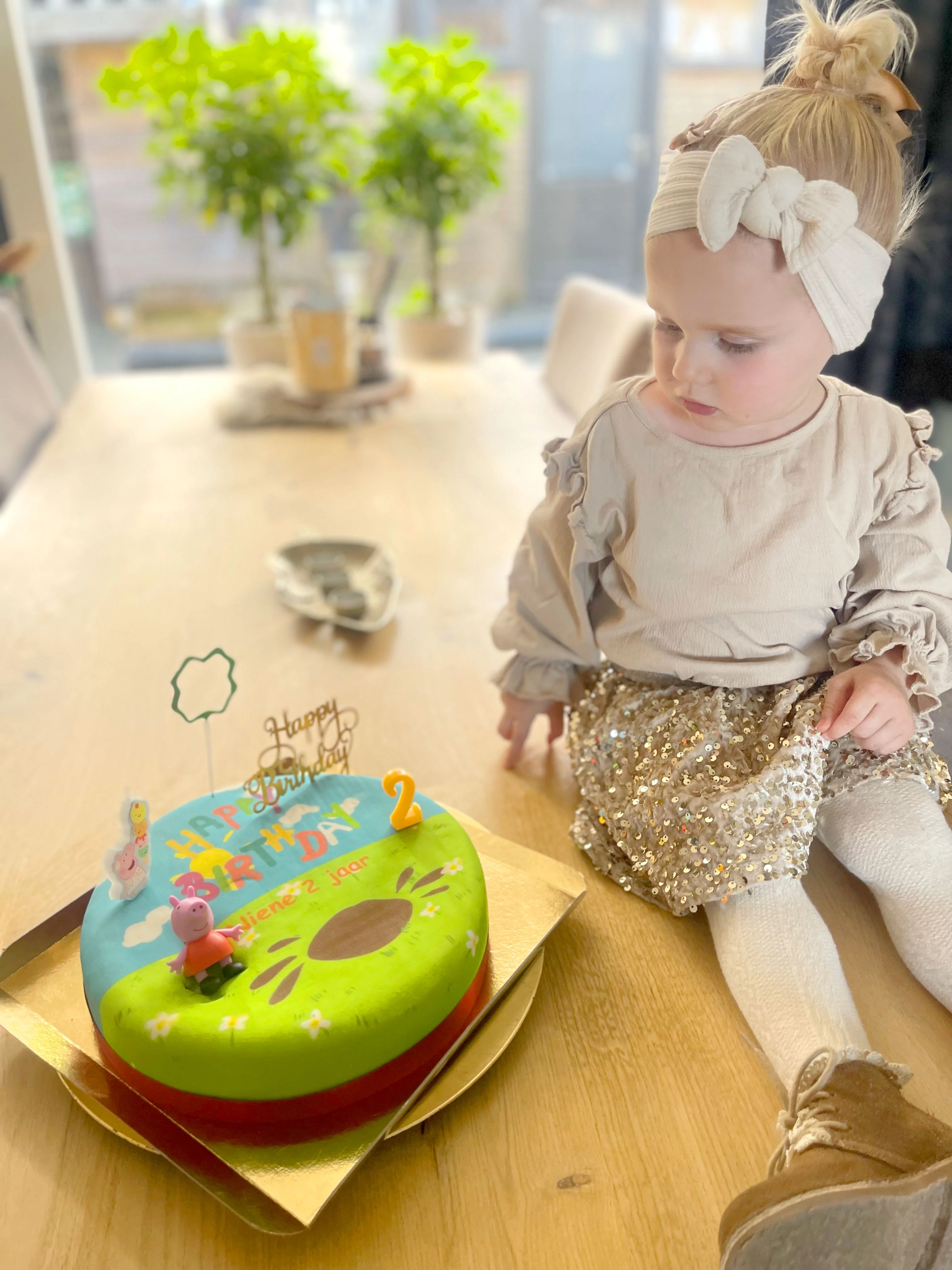 Peppa Wutz Geburtstagstorte - Image 4
